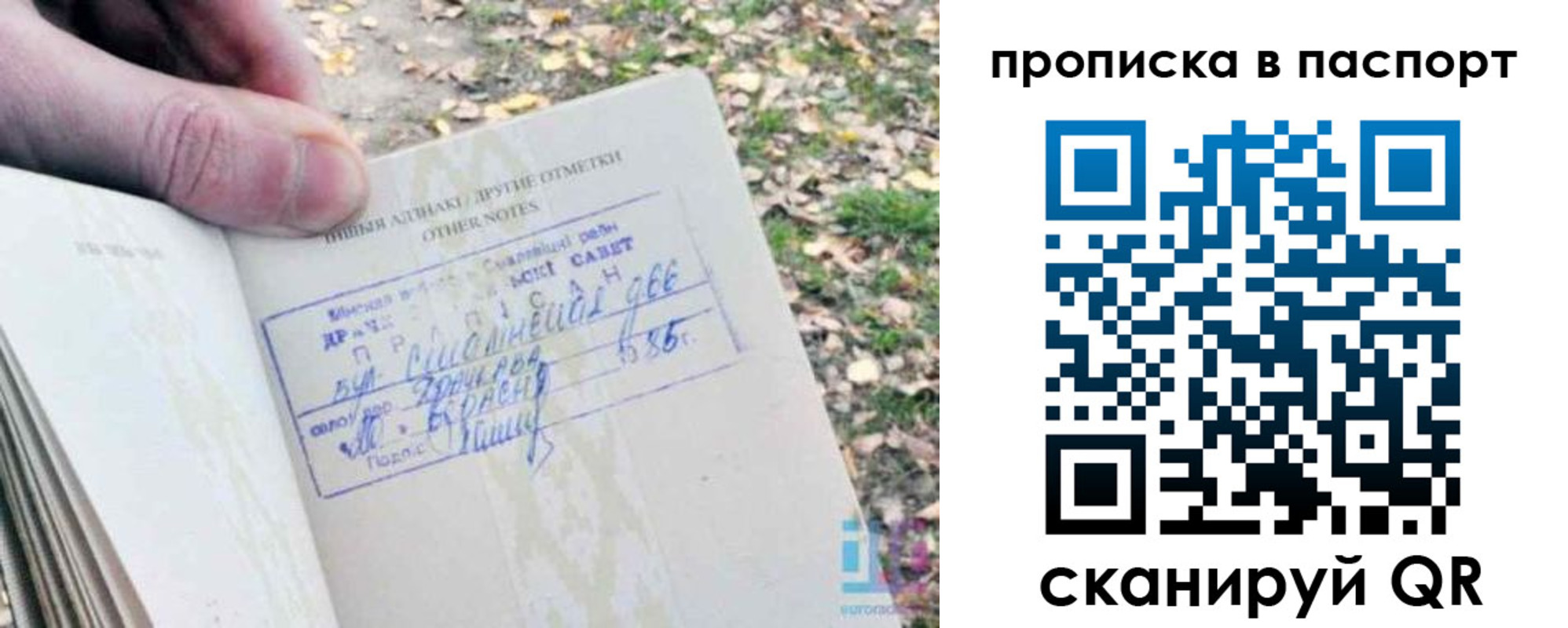 купить прописку в Змеиногорске